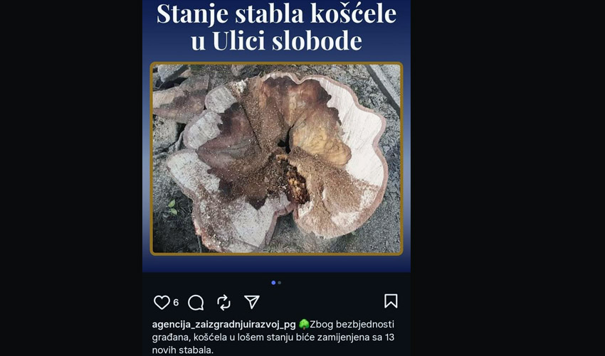 koscela pann