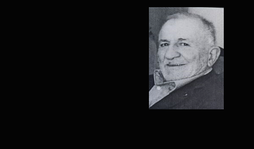 pok Vukić