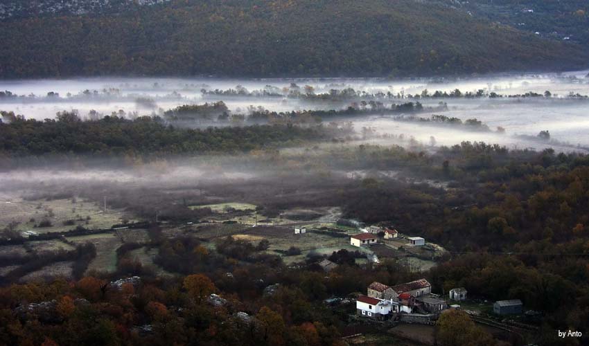 crmnicka magla