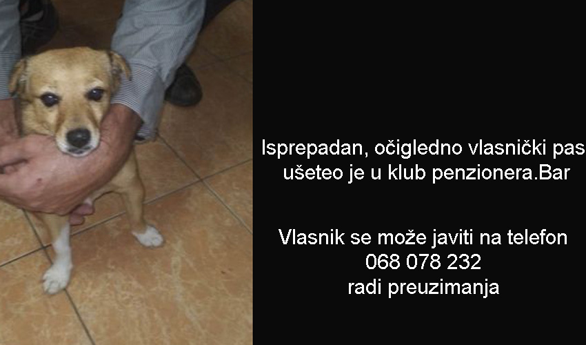 pasce