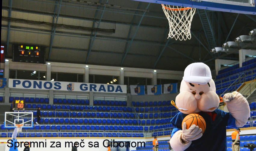 naj cib 1